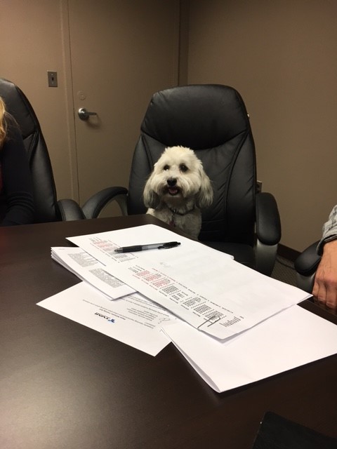 Office Dog: Mia