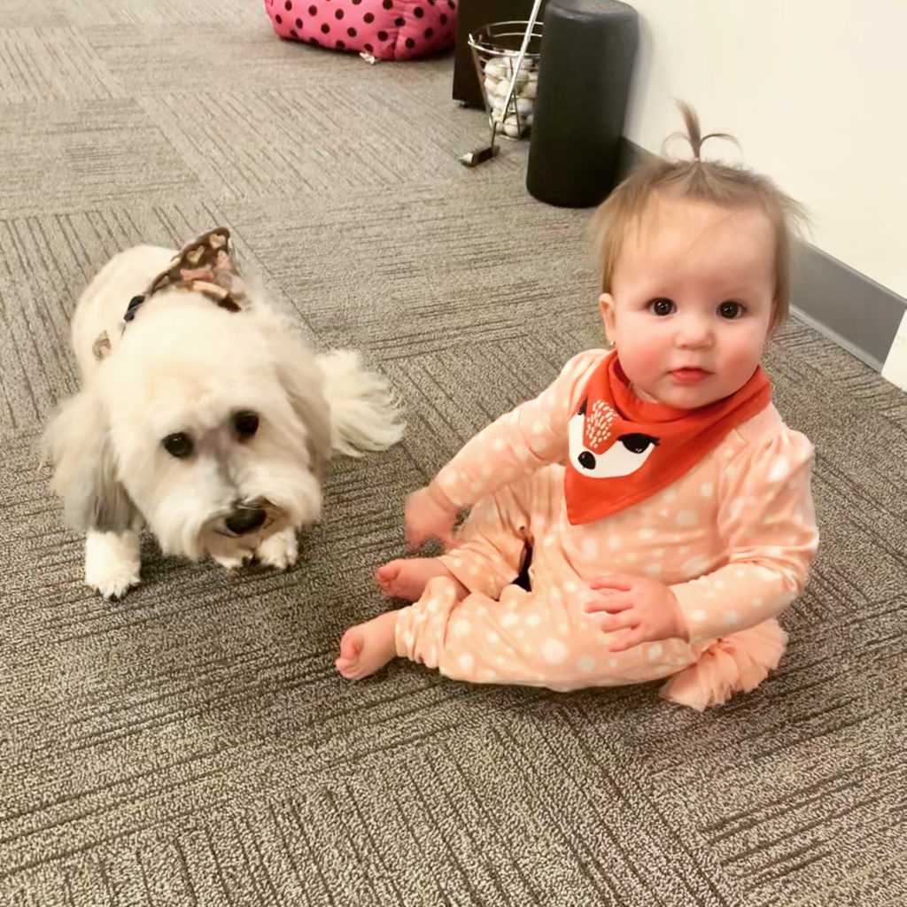Our two office visitors - Mia and Harper. Could we have cuter visitors? 